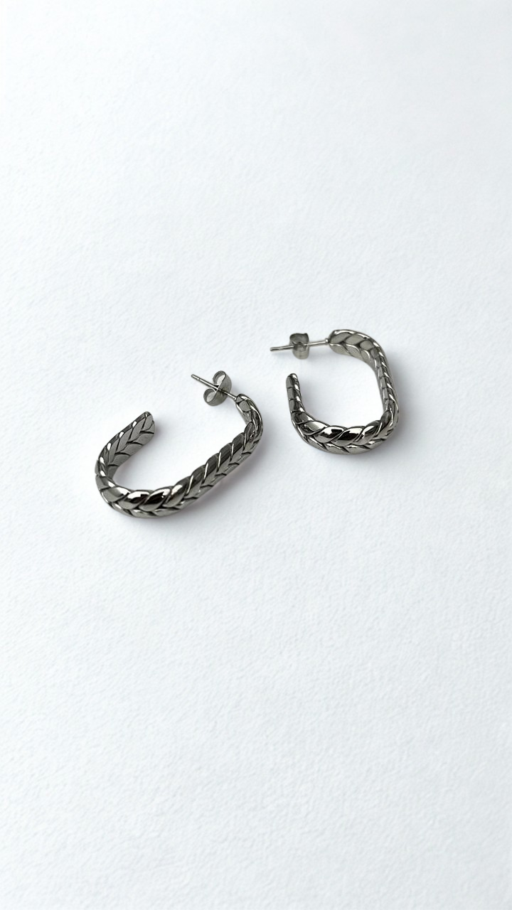 Aretes Trenz plata
