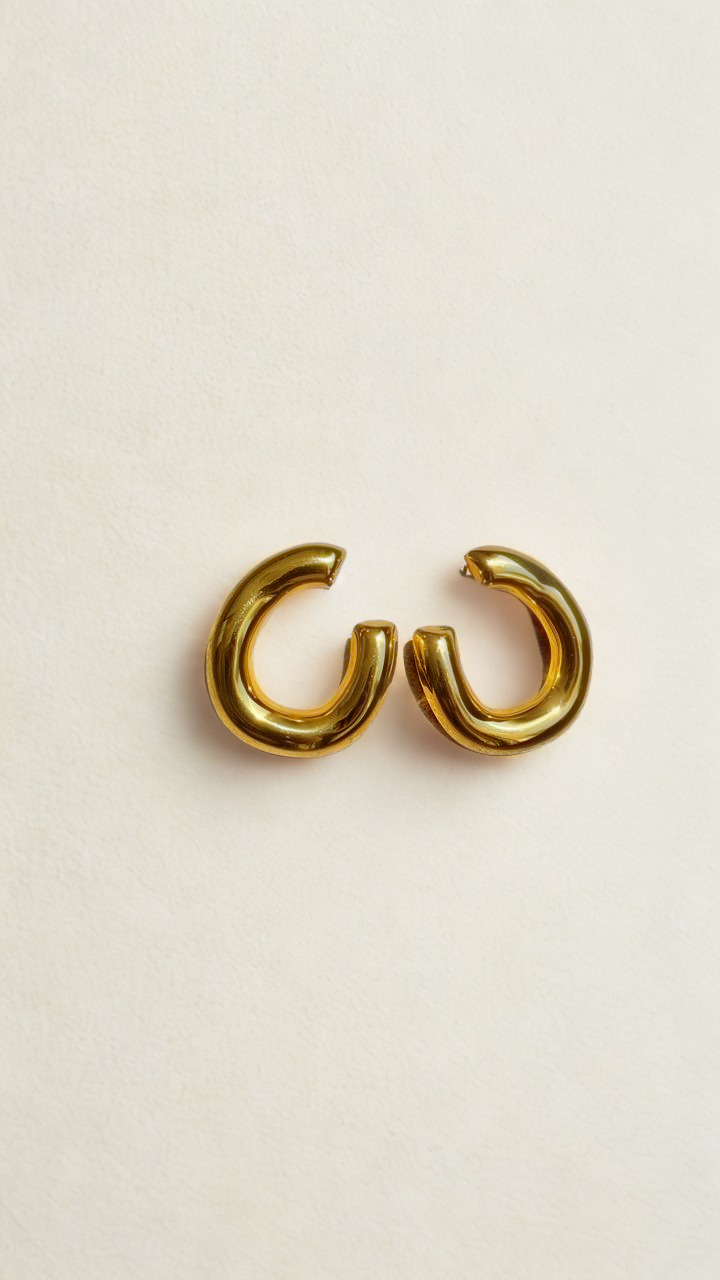 Aretes Aleena
