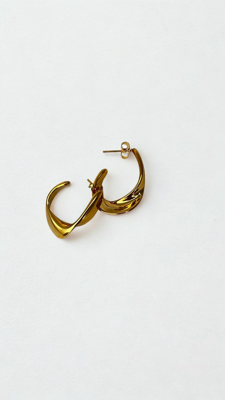 Aretes Ziba
