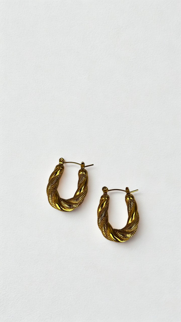 Aretes Ble