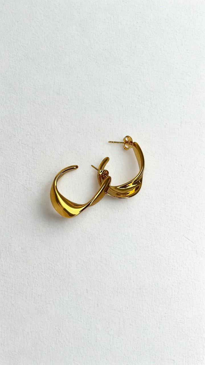 Aretes Ziba