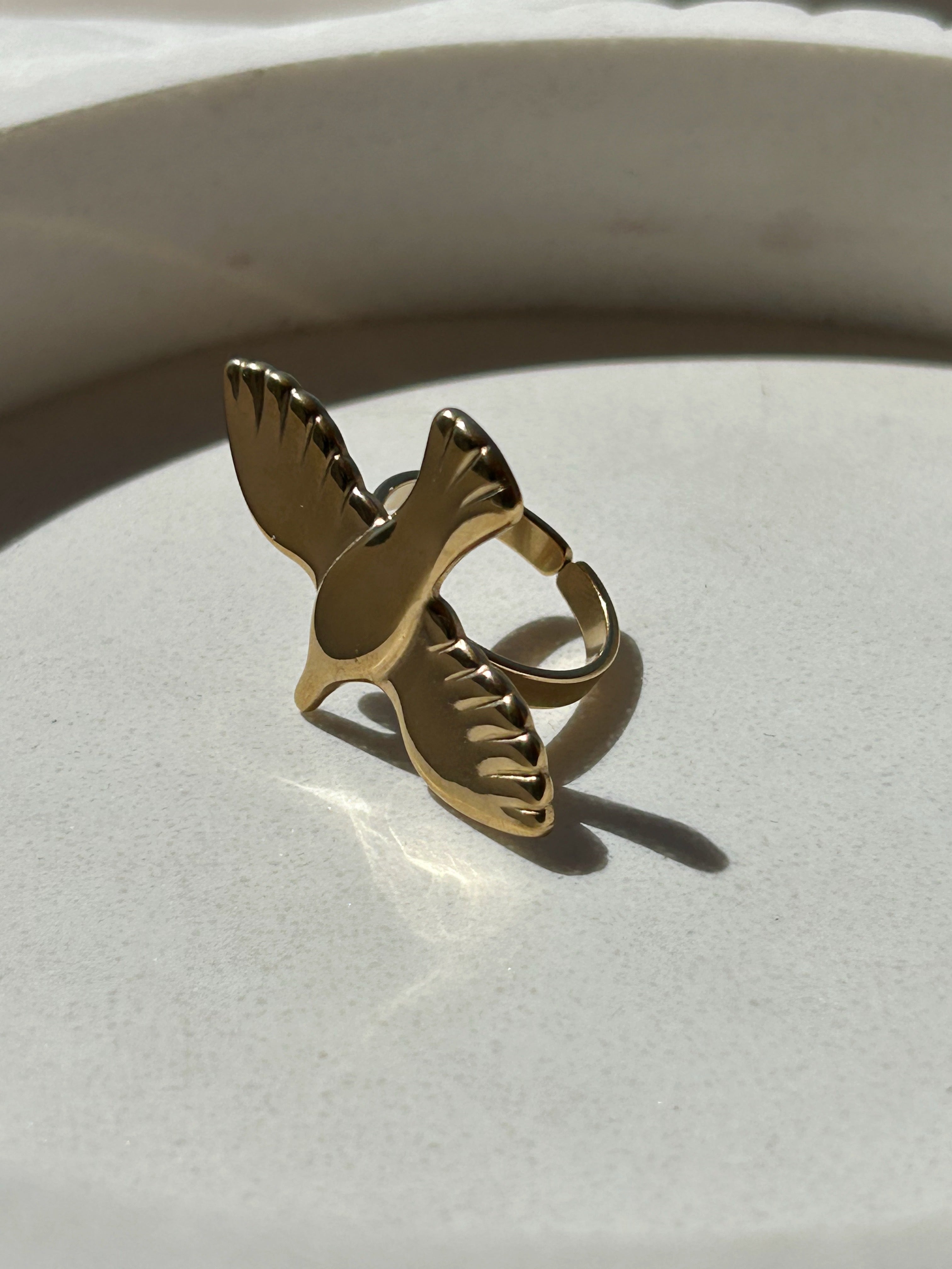 Anillo Aves