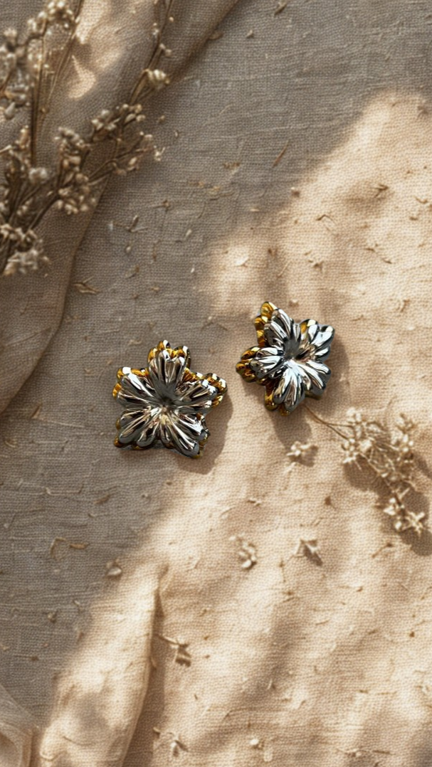 Aretes Celia