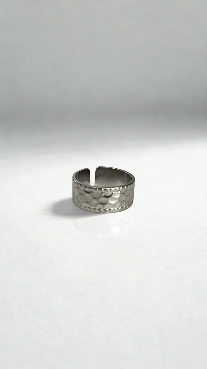 Anillo Liz plata