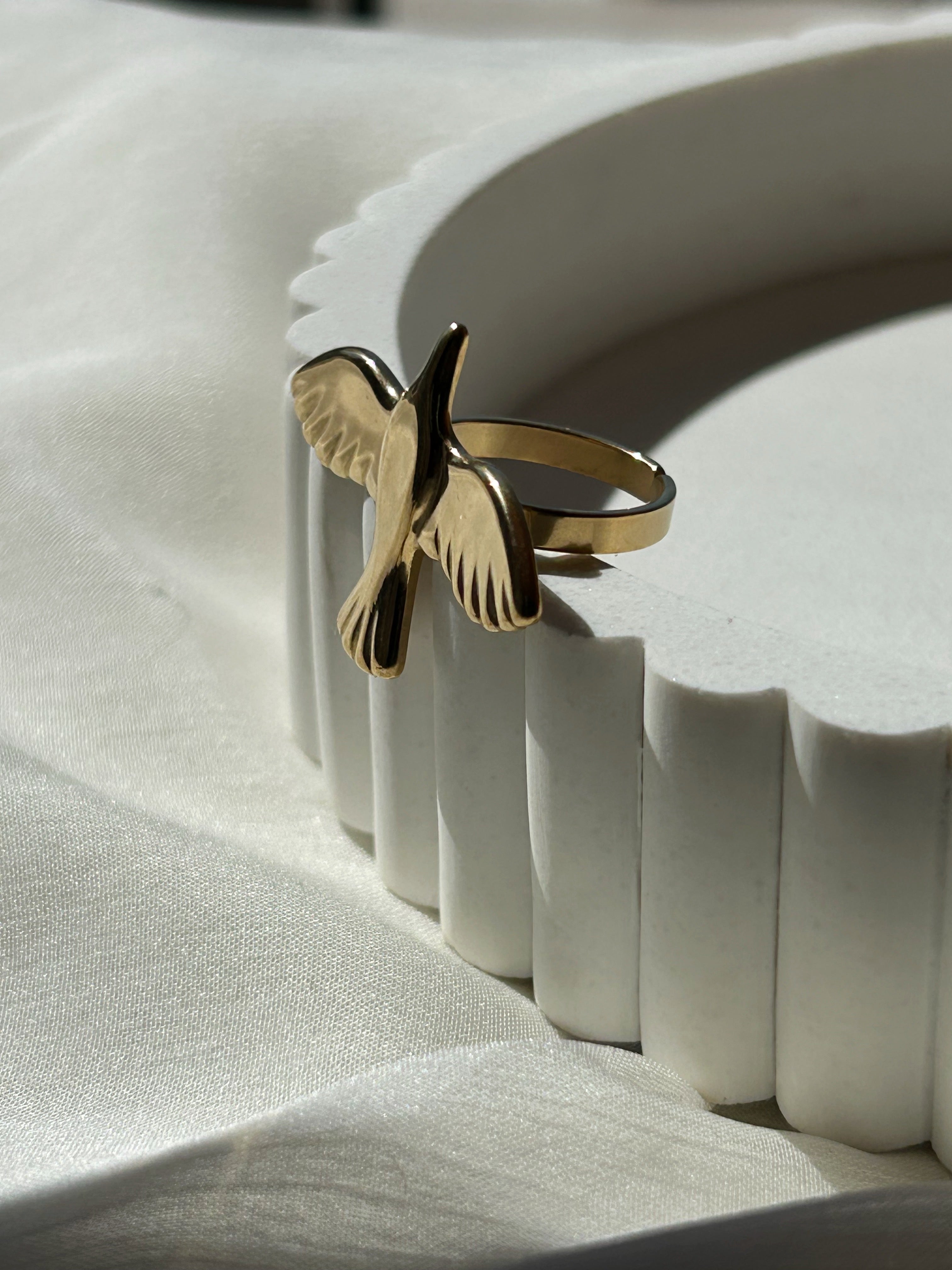 Anillo Aves