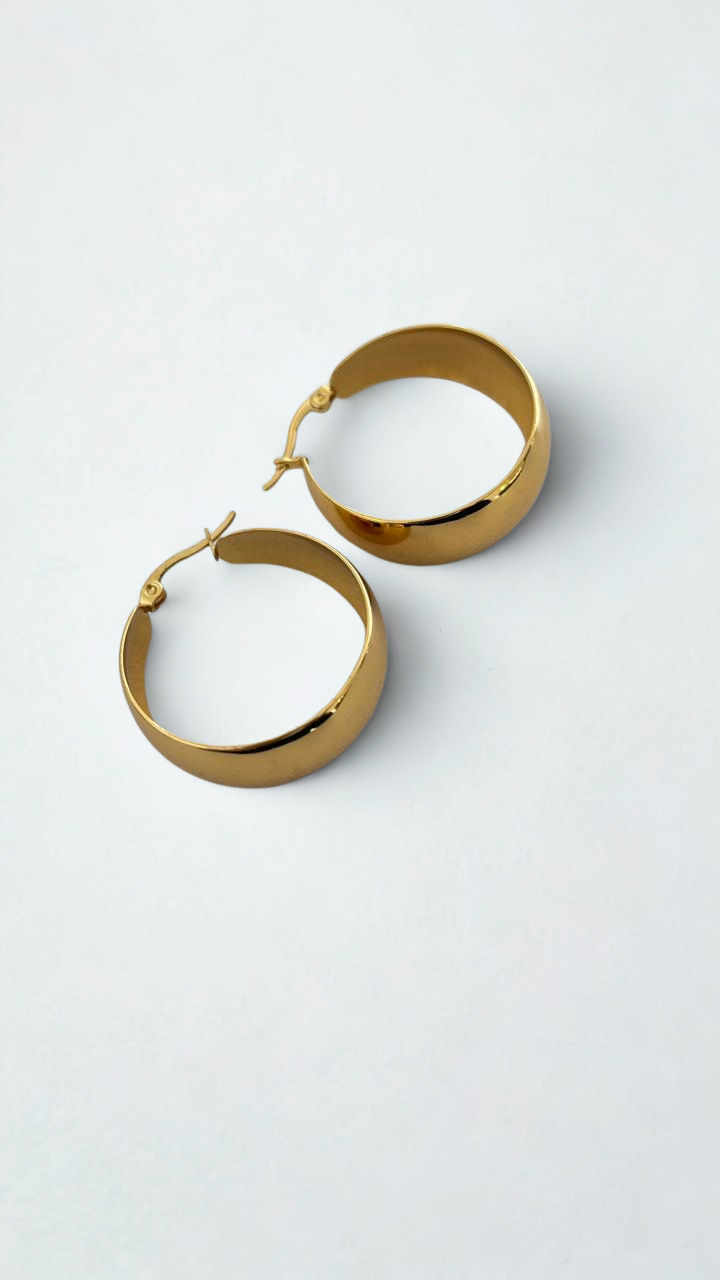 Aretes Renee