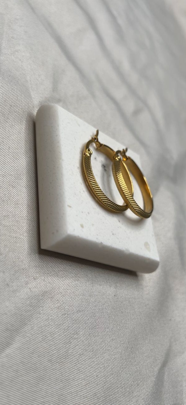 Aretes Circ
